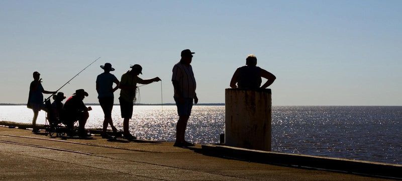 Fishy Facts - Lures Vs. Bait - campingaustralia.com.au