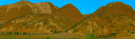 Flinders Ranges camping region