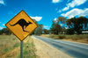 Kangaroo roadsign