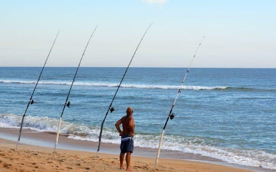 The Ultimate Guide to Fishing Rod Construction: Materials, Tapers, and Maintenance - Camping Australia