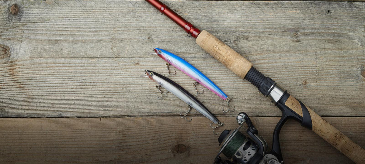 Fishing Lure Basics: Understanding Types, Applications, and Target Species - Expert Advice | Camping Australia Fishing Lure Basics: Understanding Types, Applications, and Target Species - Expert Advice | Camping Australia