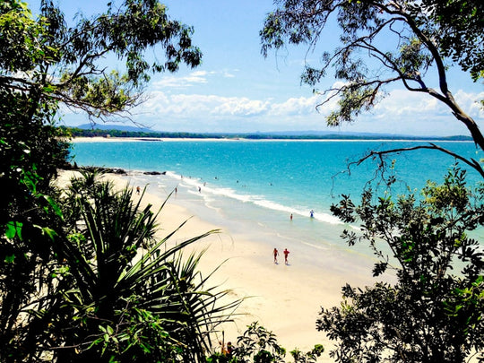 people on beach during daytime