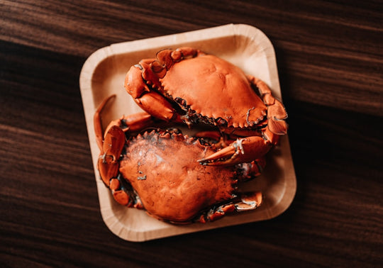 a close up of a plate of crab on a table