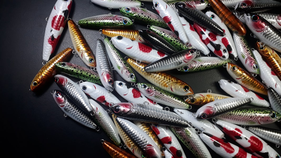 a bunch of different types of fish on a table