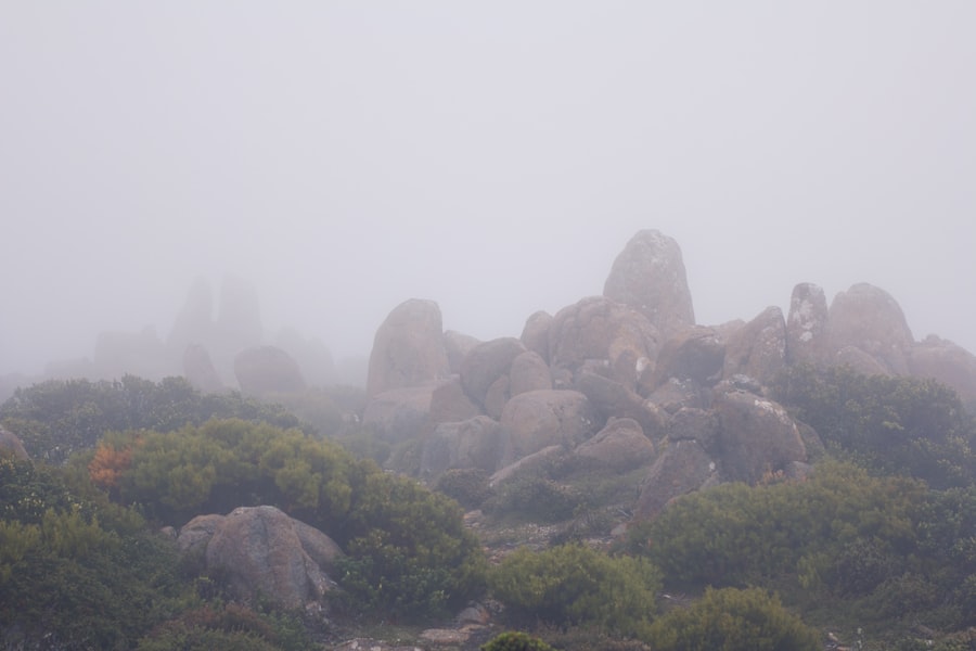 A group of rocks on a hill covered in fog