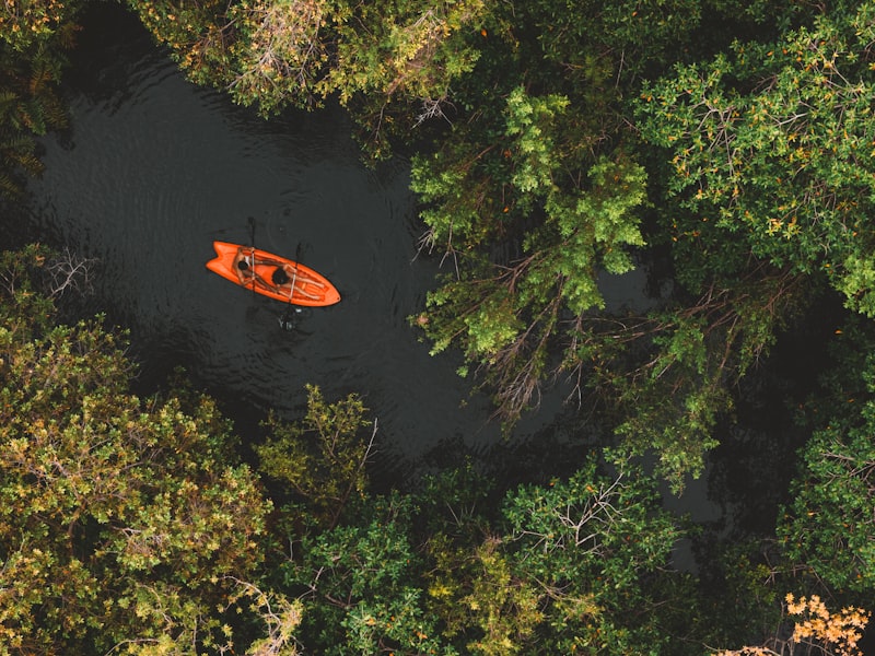 Orange kayak navigates a dark river surrounded by trees.