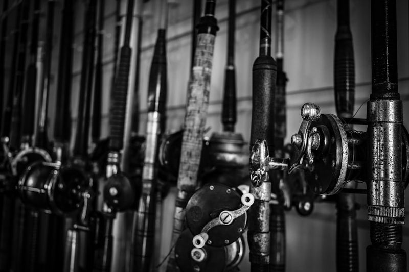 Row of fishing rods and reels