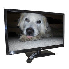 Sphere Onyx T8 31.5" HD LED TV with Built-In DVD Player