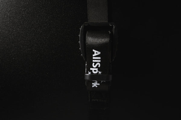 AllSpark tie-down strap supplied with The Grid power station