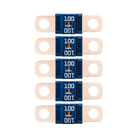 Midi Fuse 100A - 5 PACK