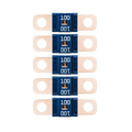 Midi Fuse 100A - 5 PACK