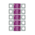 Midi Fuse 200A - 5 PACK