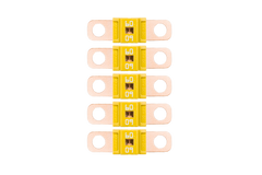 Midi Fuse 60A - 5 PACK