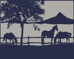 Ranch 5m x 2.4m recycled poly mat