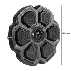 Centra Electronic Punching Box Music Machine Wall Mounted Bluetooth 9 Speeds
