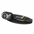 Torch Regatta Head